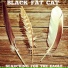 Black Fat Cat