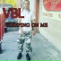 Vbl