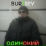 BURTSEV