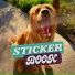 Stickerbook