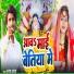 Dhanesh Patel