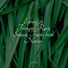Nature Soundscape, Regen, Rain Recorders