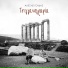 Alexis Goudas, Abagar Quartet