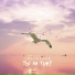 Yol Steep