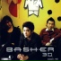 Basher