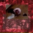 Xxer