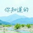 一只鞋