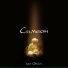 Igor Akulov
