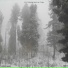 рёбра.mp3