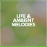 Ambient Sample Library
