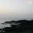 Phlocalyst, Mavine