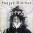 Jagged Visions