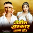 Santosh Saurav, Shrishti Bharti