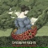 DAYDREAM FLIGHTS