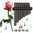 Orchestra Musica Poesia