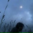 witheredtears