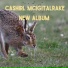 Cashirl Mcigitalrake