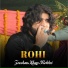 Zeeshan Khan Rokhri