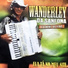 Wanderley da Sanfona