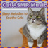 Relax My Cat, Cat Music Zone