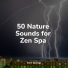 Tinnitus, Namaste Yoga, Exam Study Classical Music