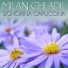 Milan Chladil