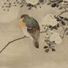 Rinne