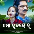 Bala krishna Vanka, Saina