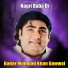 Badar Miandad Khan Qawwal