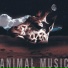 Animal Music