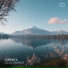 Torenta