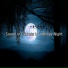 Night Sounds, Sonido Ambiente, Sonidos del Bosque