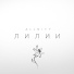 Allnity