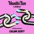 Naughty Boy, Calum Scott
