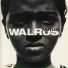 WALRUS