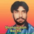 Shahanshah Bacha
