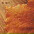 风向心作, SteadyZ