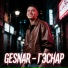 GesNar