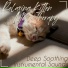 RelaxMyCat, Cat Music Dreams, Cat Music Therapy