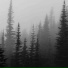 Mxrk Sky