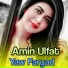 Amin Ulfat