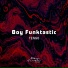 Boy Funktastic