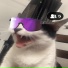 Tonybiggassin