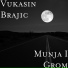 Vukasin Brajic