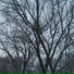 coldfear