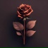 soul.flovv