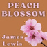 James Lewis