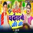 Krishna Premi