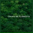 Música Com Sons da Natureza de IMG Library