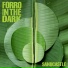Forró In The Dark